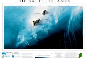Saltee Islands